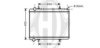 DIEDERICHS 8407203 Radiator, engine cooling